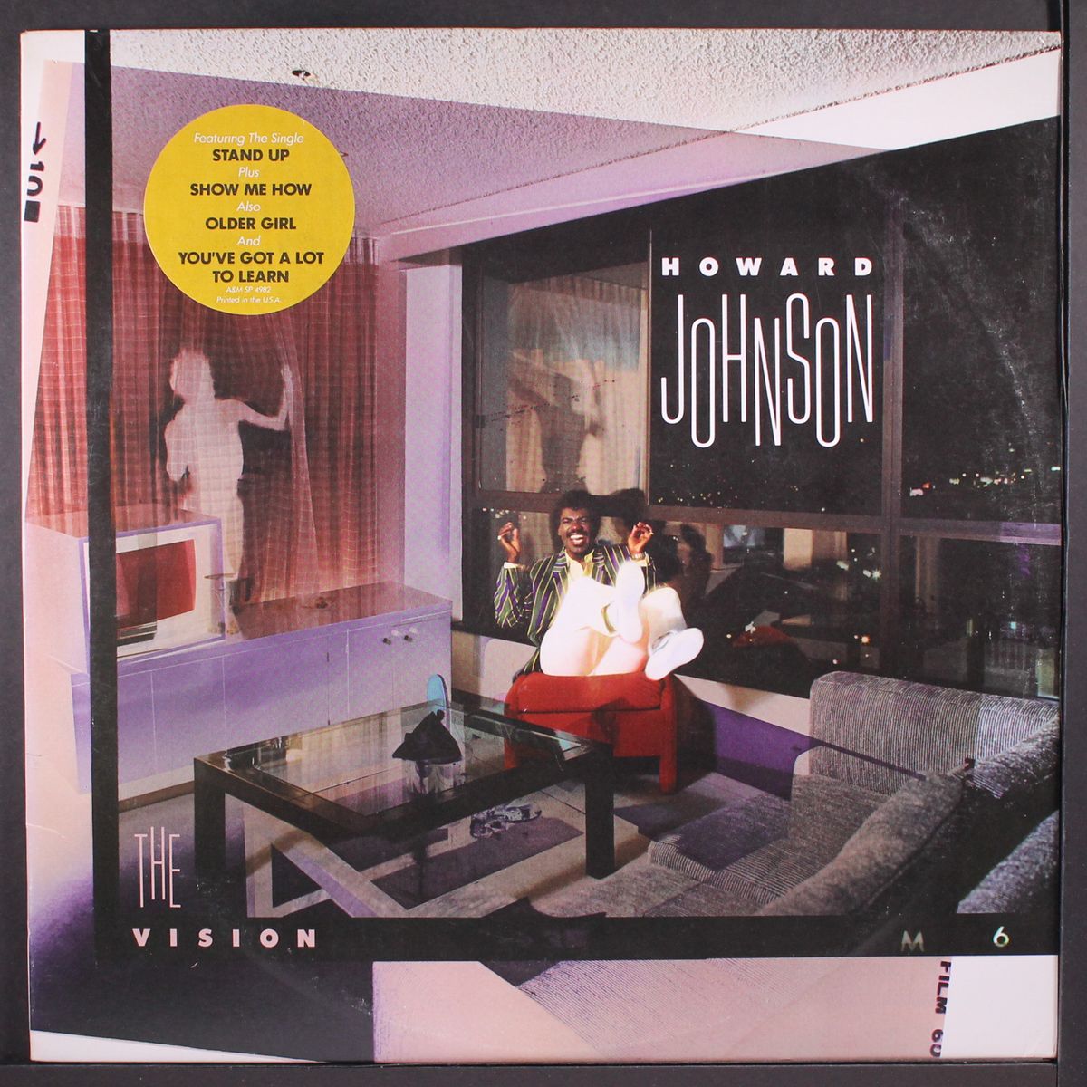 the vision by HOWARD JOHNSON