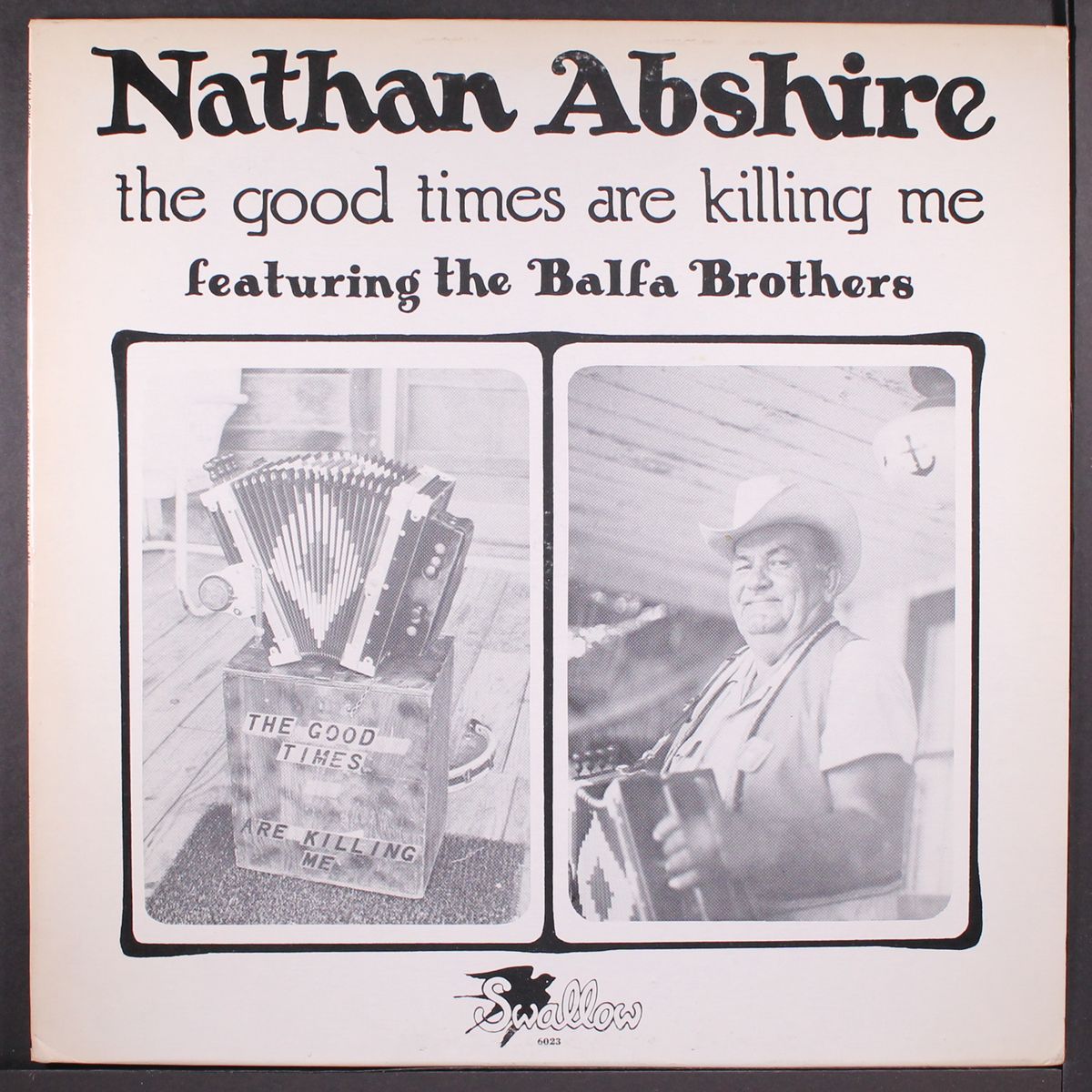 the good times are killing me by NATHAN ABSHIRE