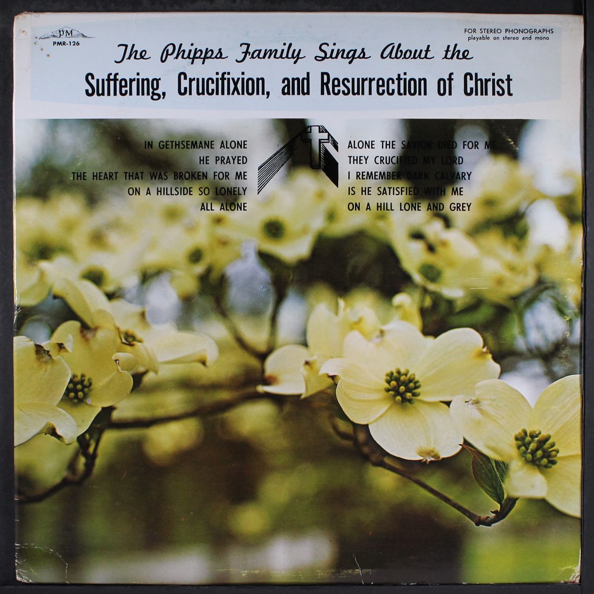 suffering, crucifixtion, and resurrection of christ by PHIPPS FAMILY