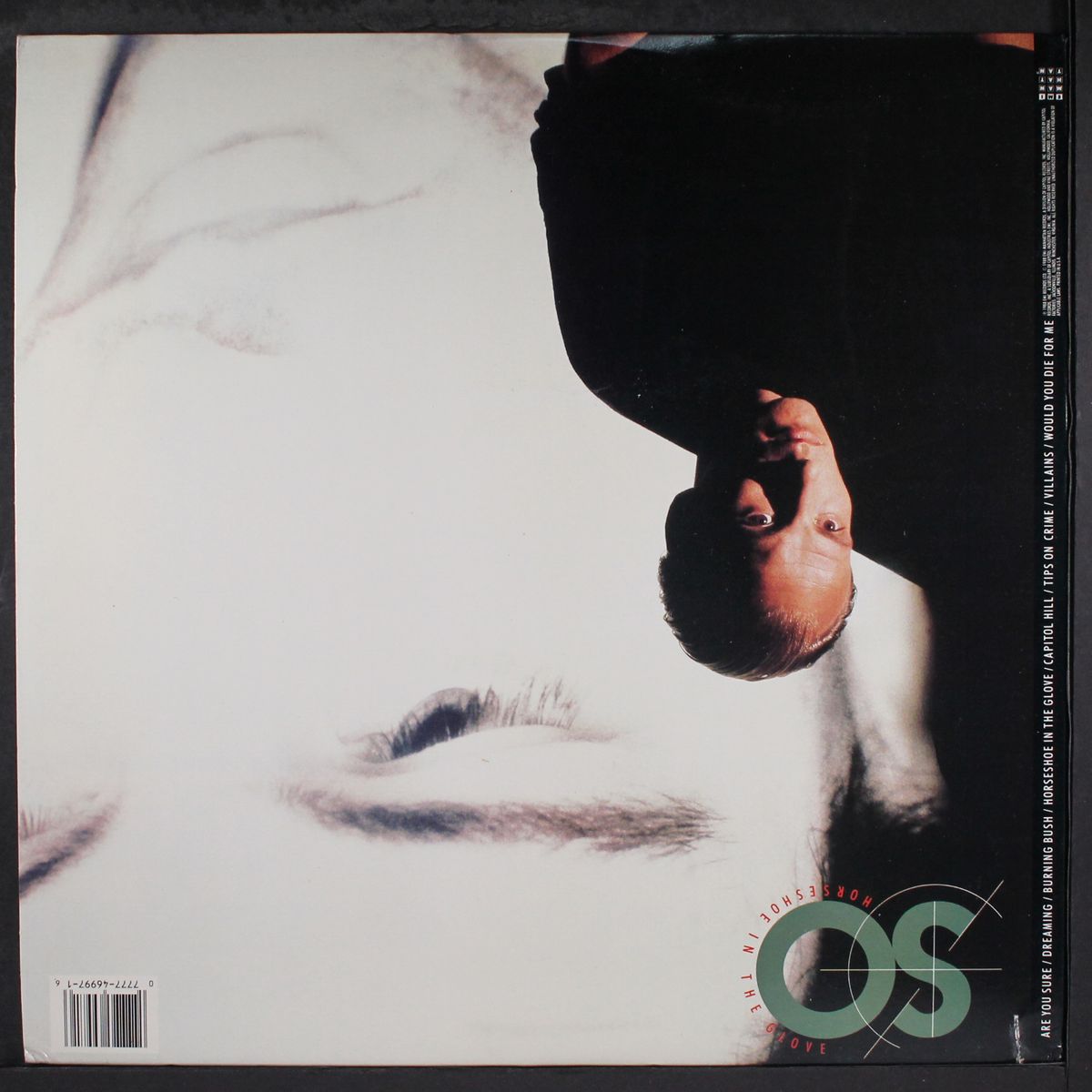 horseshoe in the glove by SO