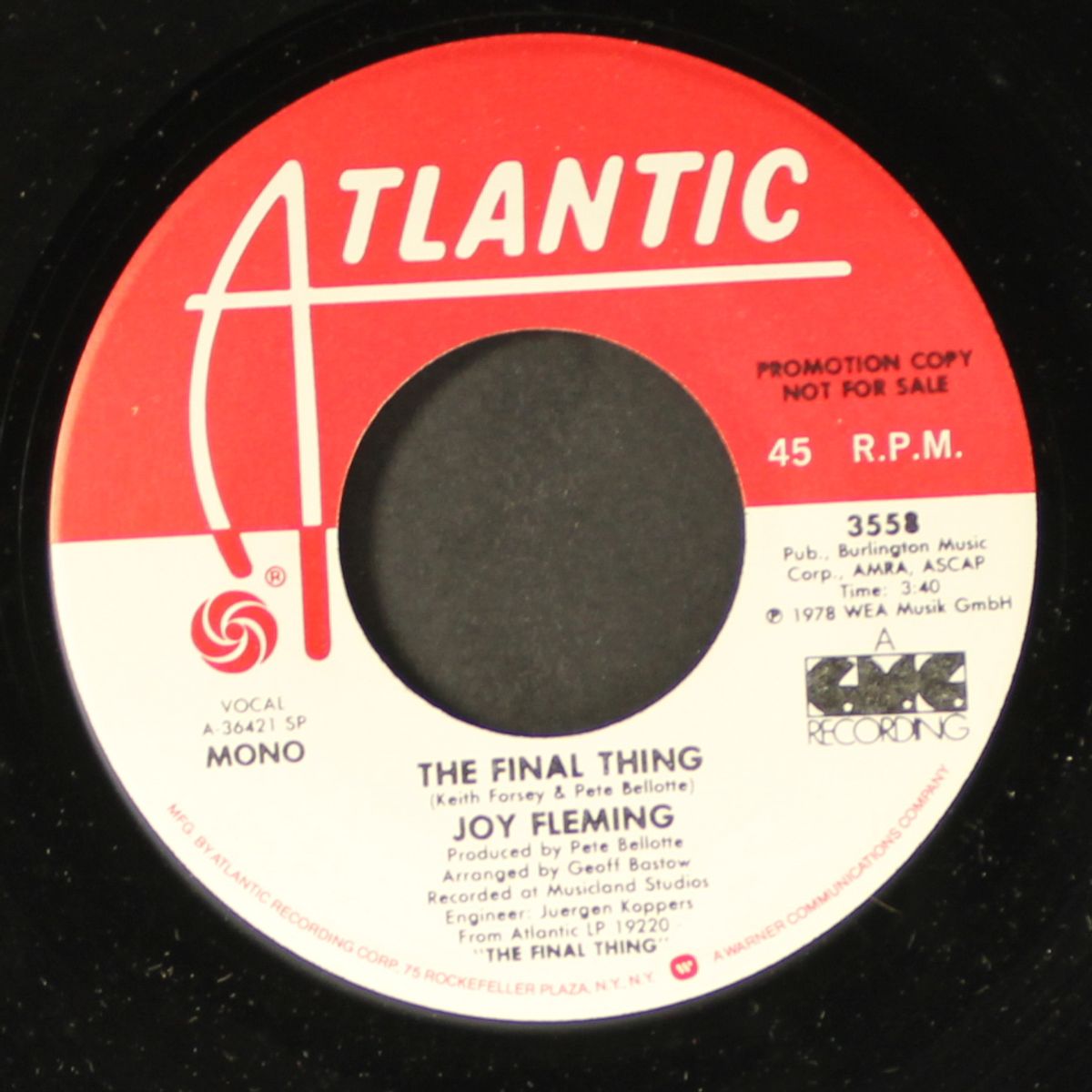 the final thing / mono by JOY FLEMING