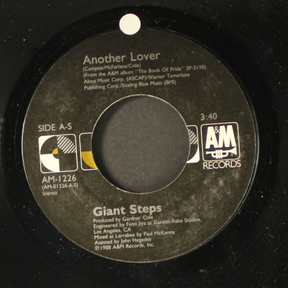another lover / adrenalin by GIANT STEPS