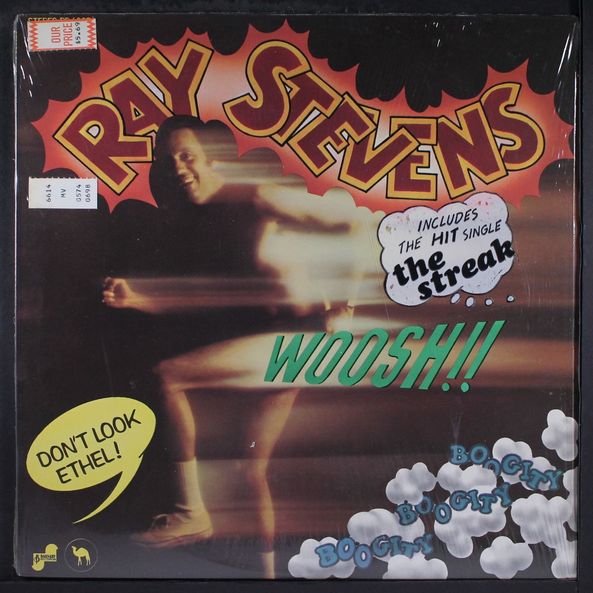 boogity boogity by RAY STEVENS