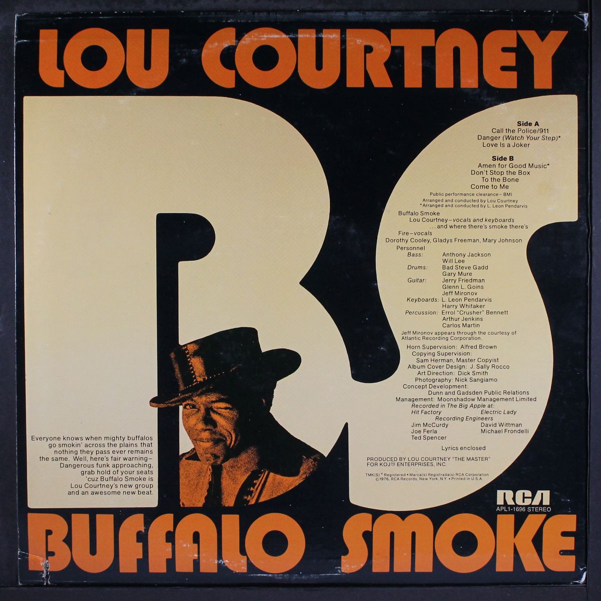 buffalo smoke by LOU COURTNEY