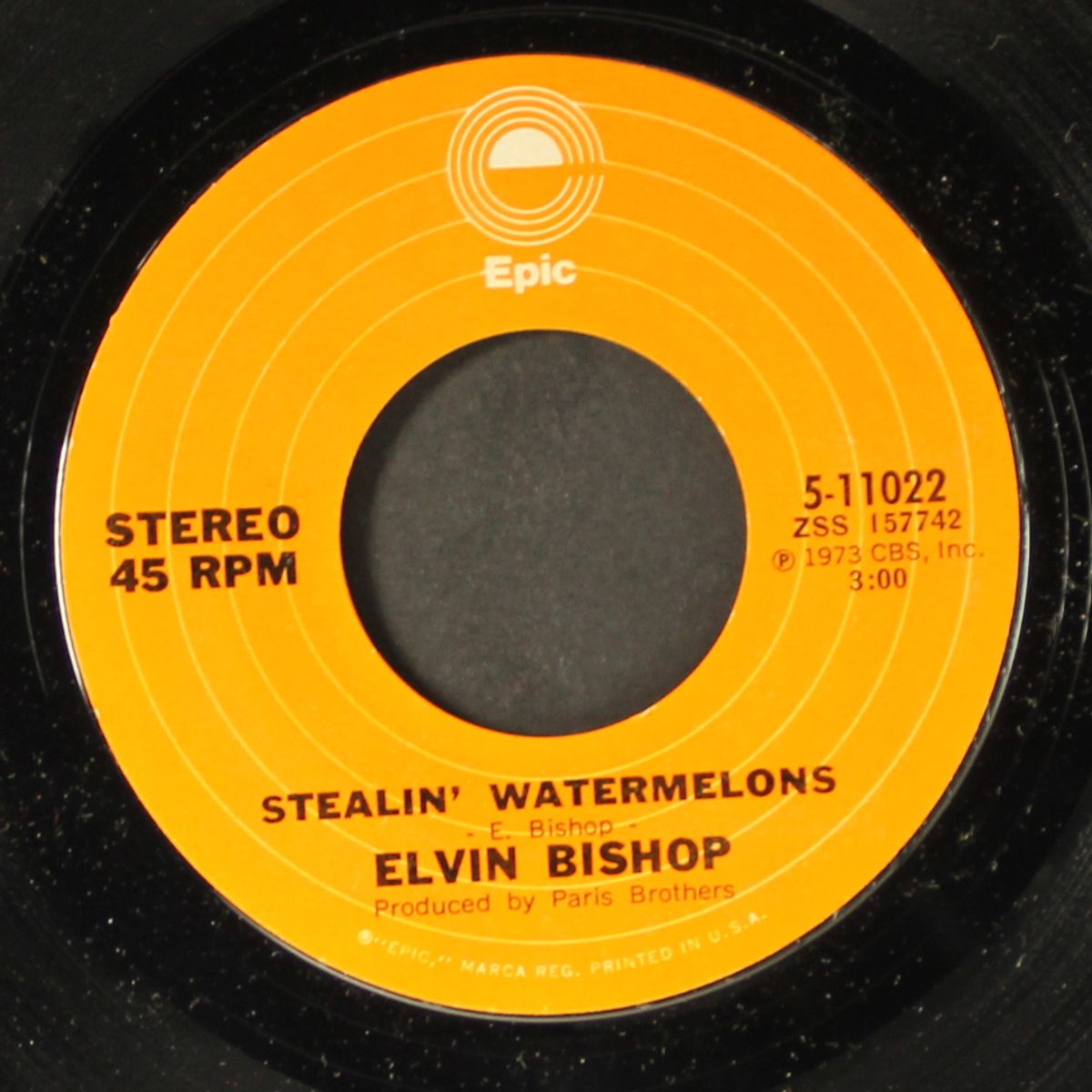 stealin' watermelons by ELVIN BISHOP