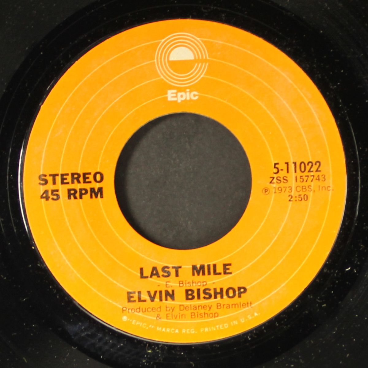 stealin' watermelons by ELVIN BISHOP