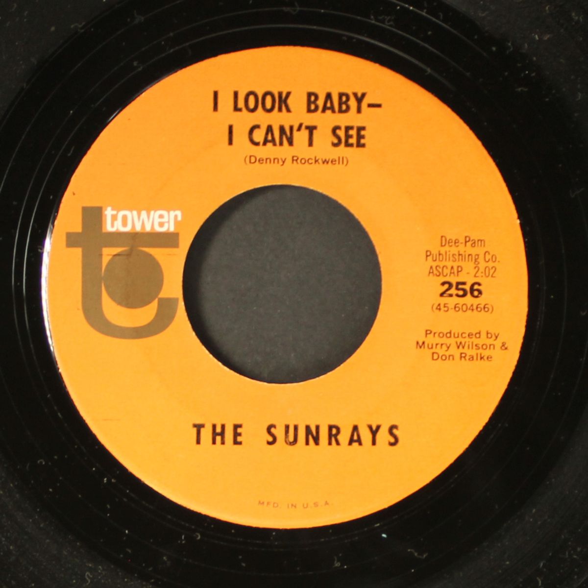 don't take yourself too seriously / i look baby - i can't see by SUNRAYS