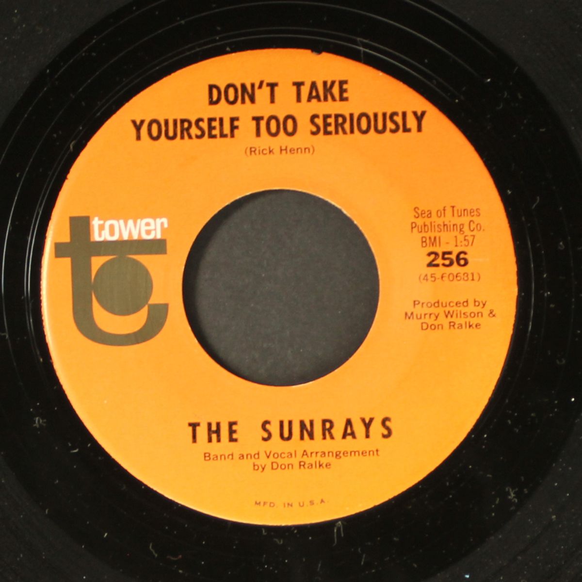 don't take yourself too seriously / i look baby - i can't see by SUNRAYS