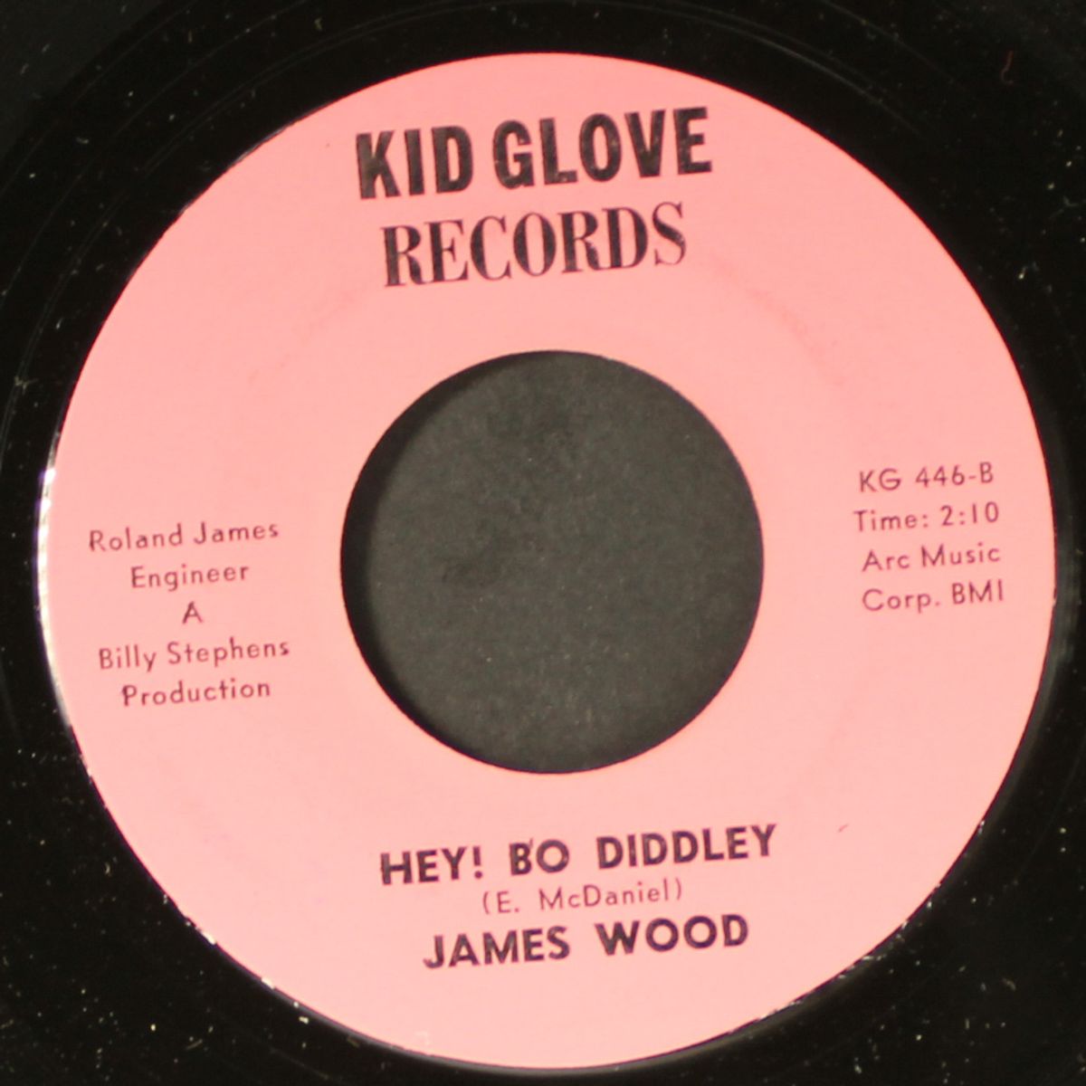 nothing take the place of you / hey! bo diddley by JAMES WOOD