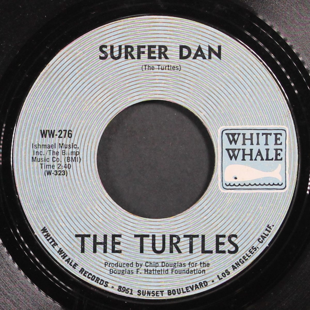 elenore / surfer dan by TURTLES