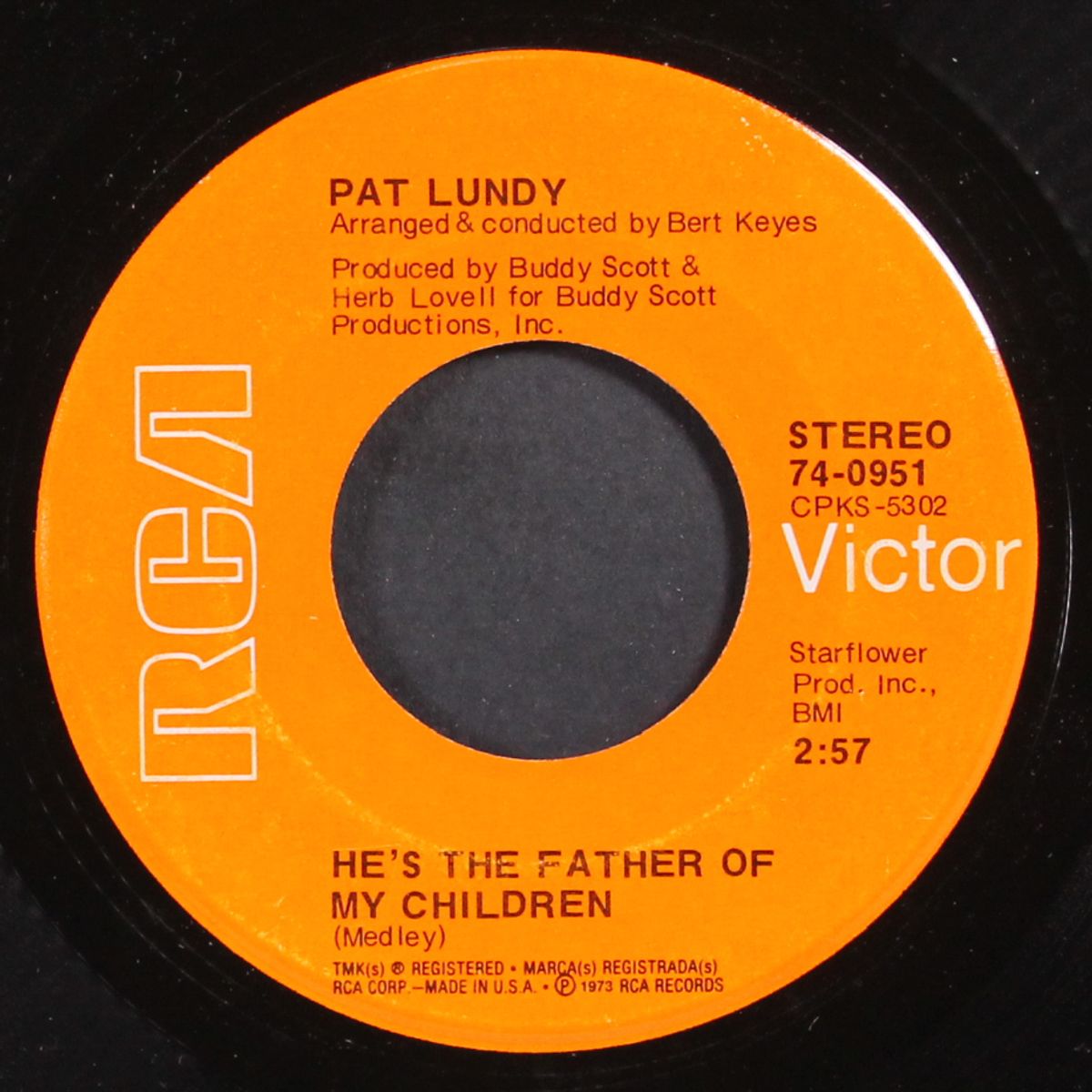 he's the father of my children by PAT LUNDY