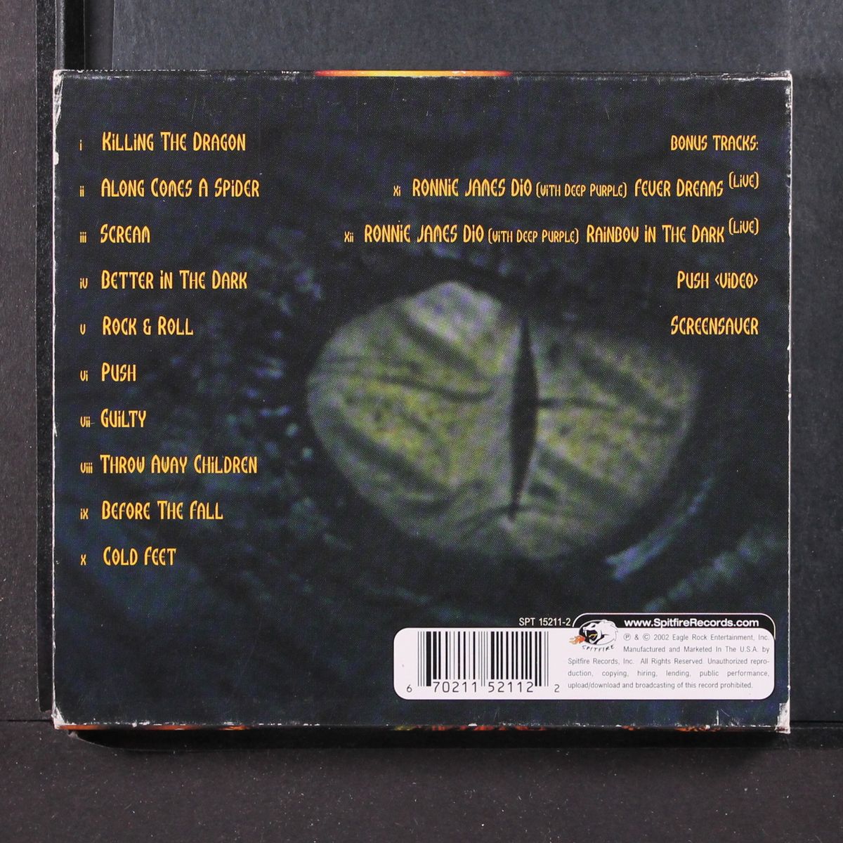 killing the dragon by DIO