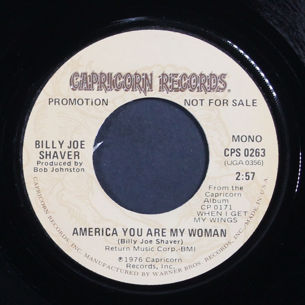 america you are my woman / mono by BILLY JOE SHAVER