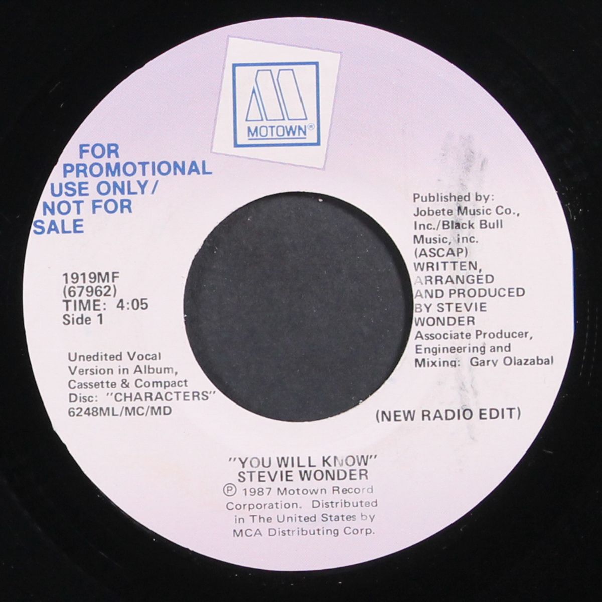 you will know (radio edit) / interview by STEVIE WONDER