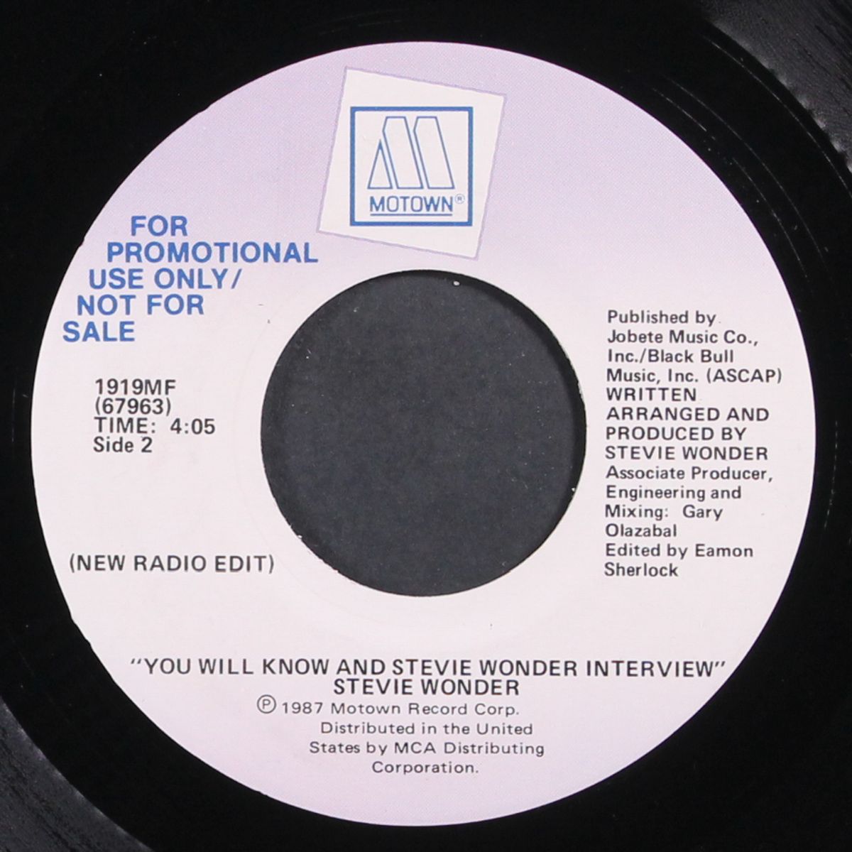 you will know (radio edit) / interview by STEVIE WONDER