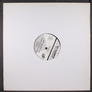EX-SAMPLE