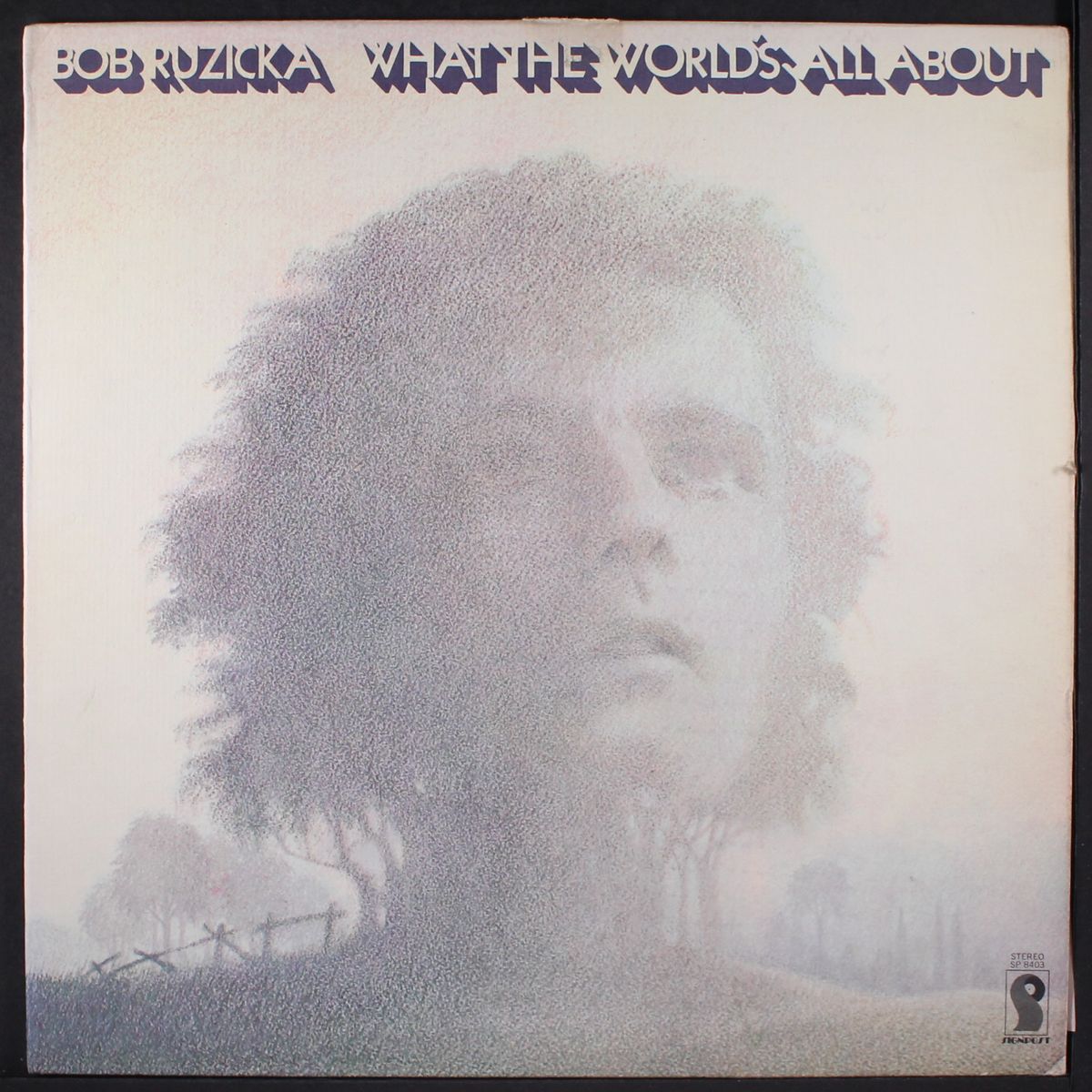 what the world's all about by BOB RUZICKA