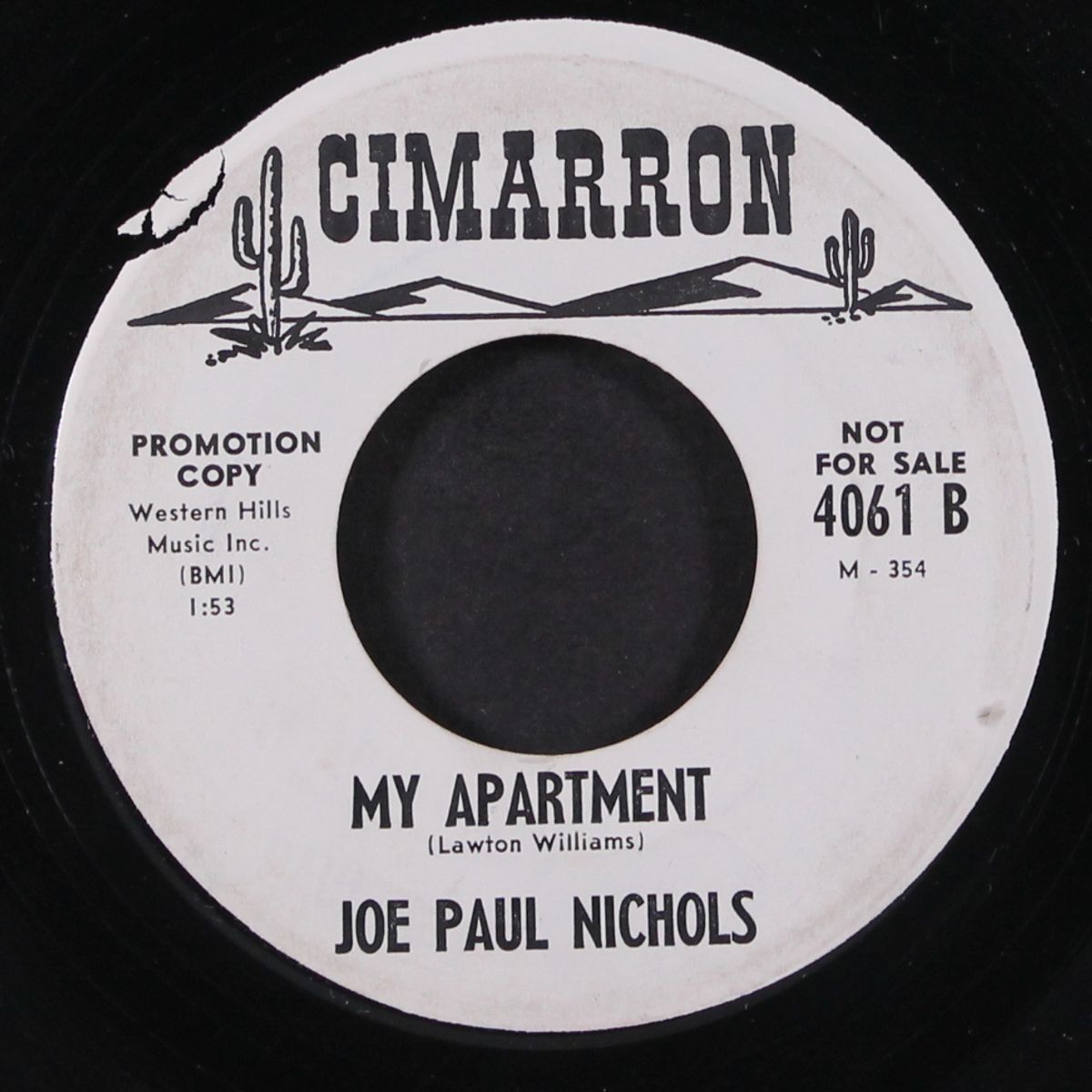 shy young sue / my apartment by JOE PAUL NICHOLS