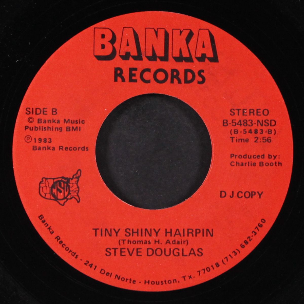 no fair cheating / tiny shiny hairpin by STEVE DOUGLAS