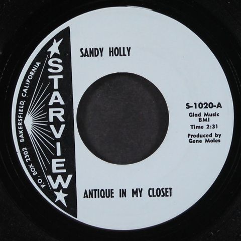 SANDY HOLLY