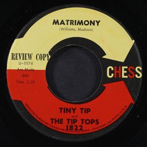 TINY TIP & TIP TOPS