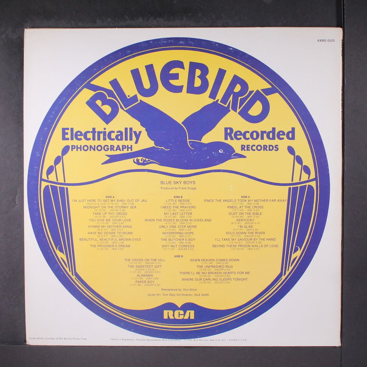 the blue sky boys by BLUE SKY BOYS