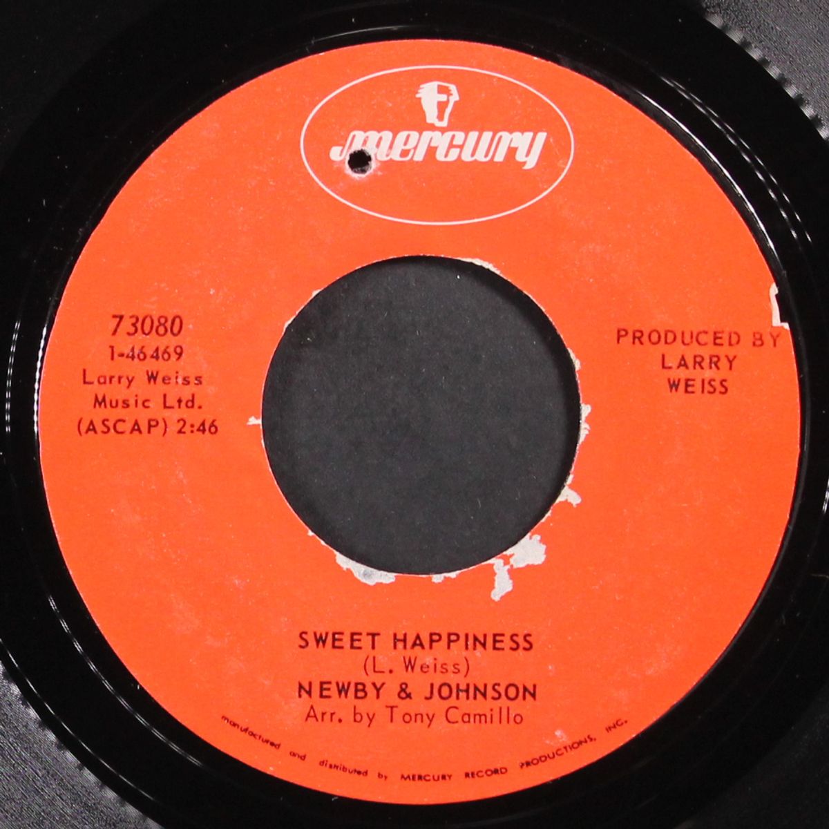 i want to give you my everything / sweet happiness by NEWBY & JOHNSON