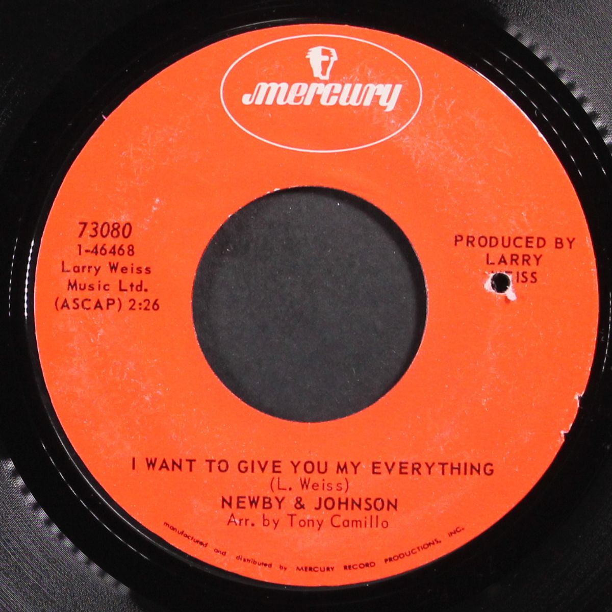 i want to give you my everything / sweet happiness by NEWBY & JOHNSON