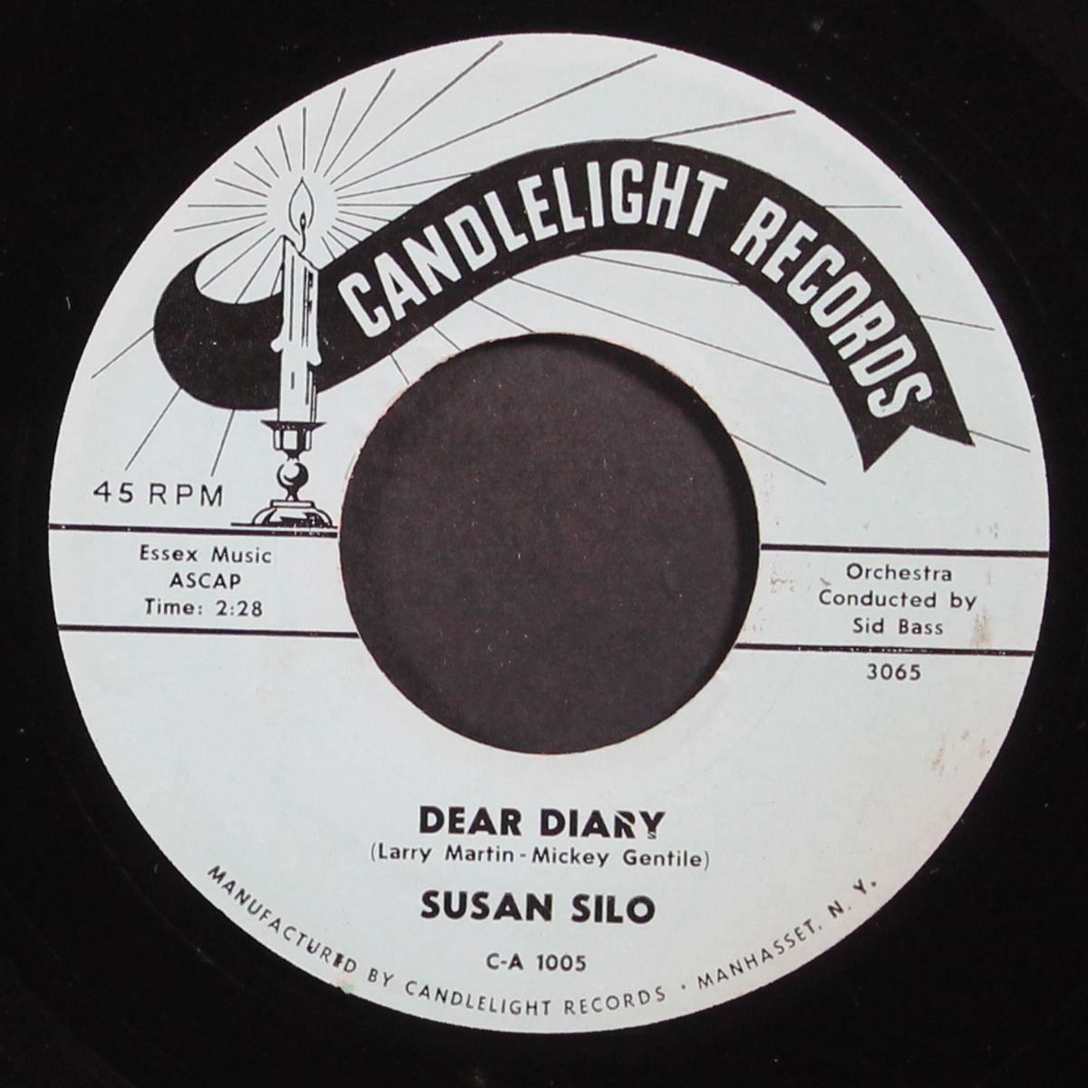 dear diary / don't ever cheat by SUSAN SILO