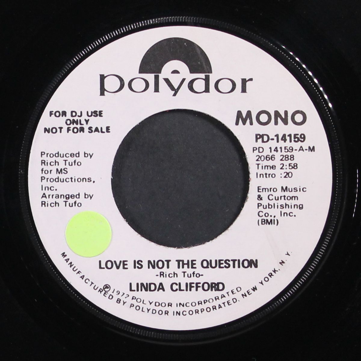 love is not the question / mono by LINDA CLIFFORD