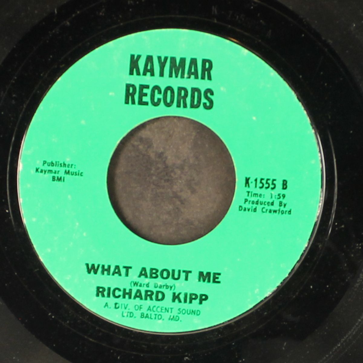 how can i ever stop my loving you by RICHARD KIPP