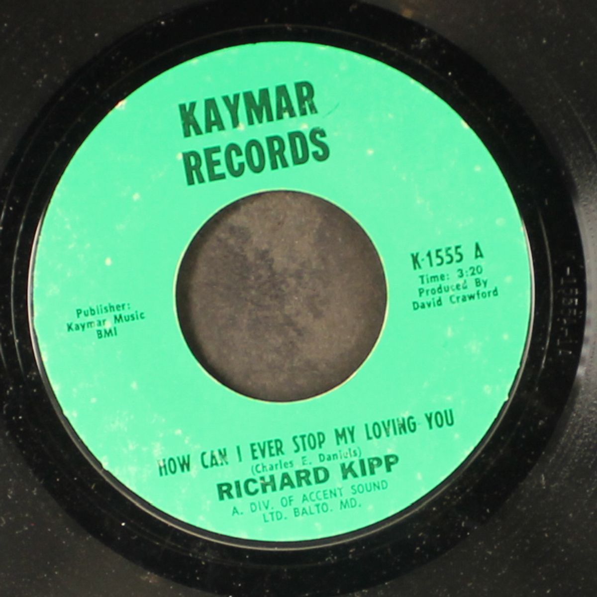 how can i ever stop my loving you by RICHARD KIPP