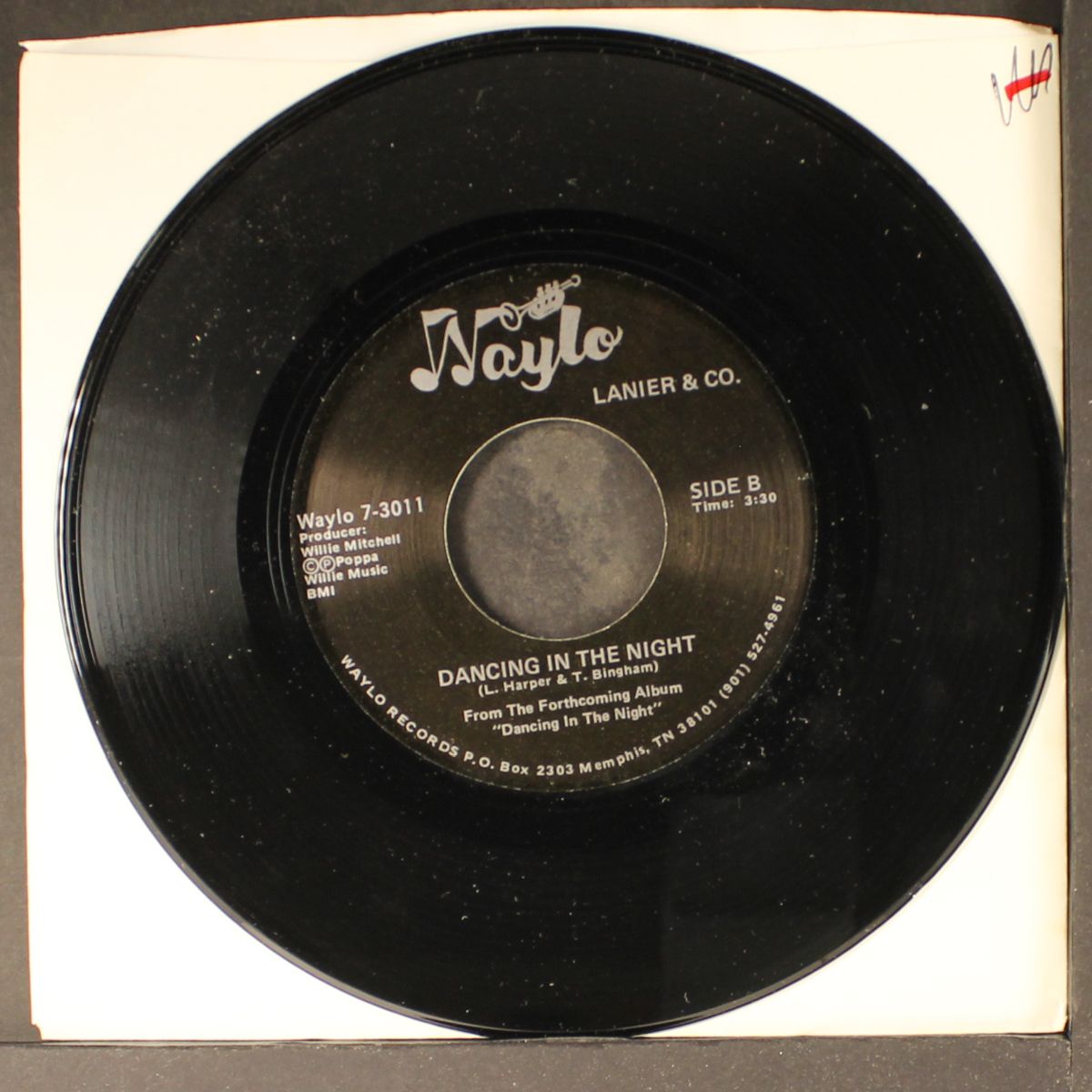 dancing in the night by LANIER & CO