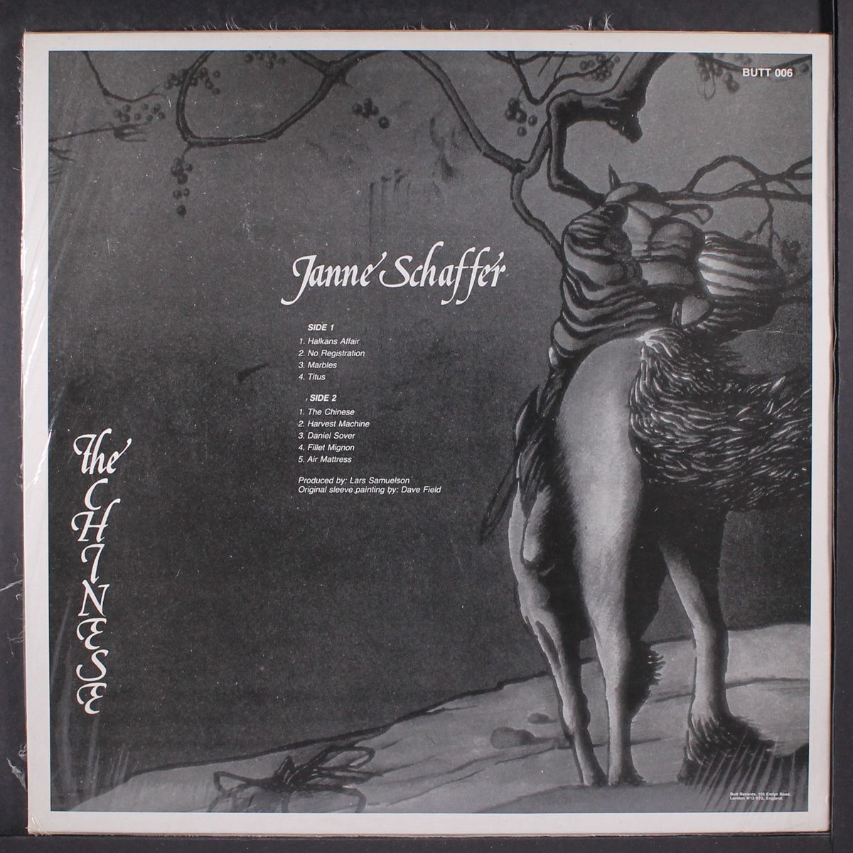 the chinese by JANNE SCHAFFER