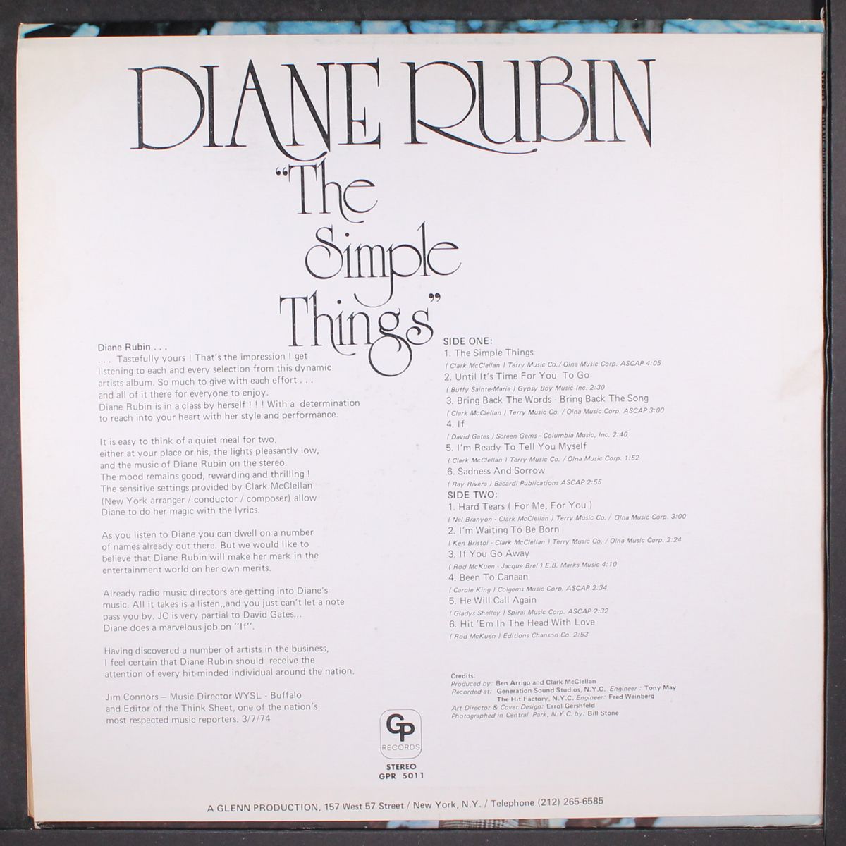 the simple things by DIANE RUBIN