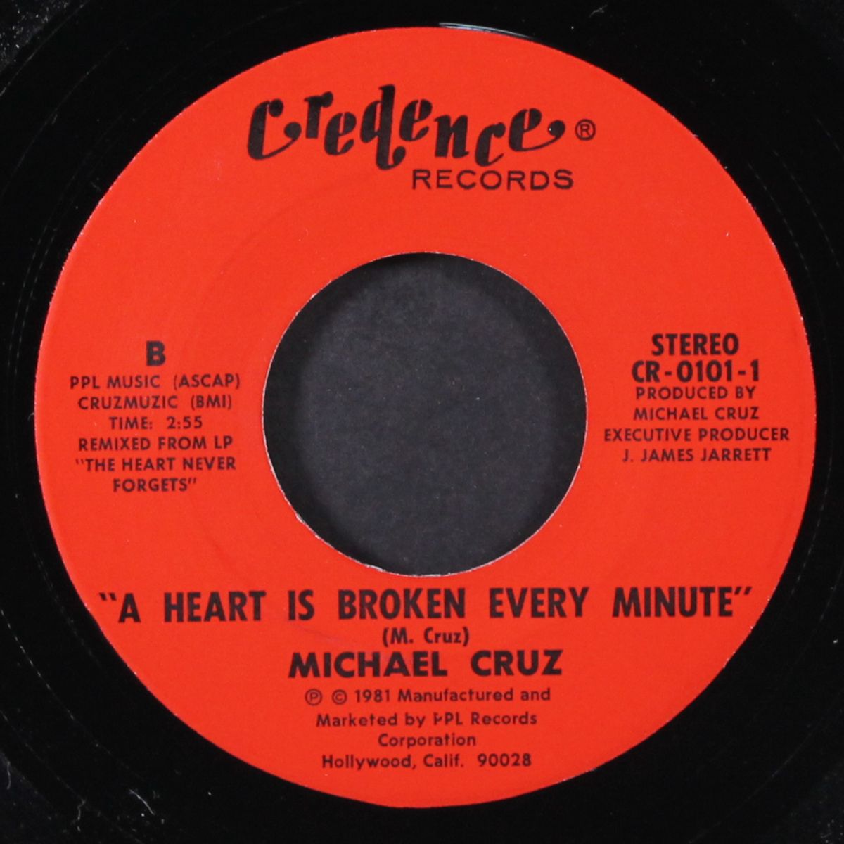 the heart never forgets / heart is broken every minute by MICHAEL CRUZ