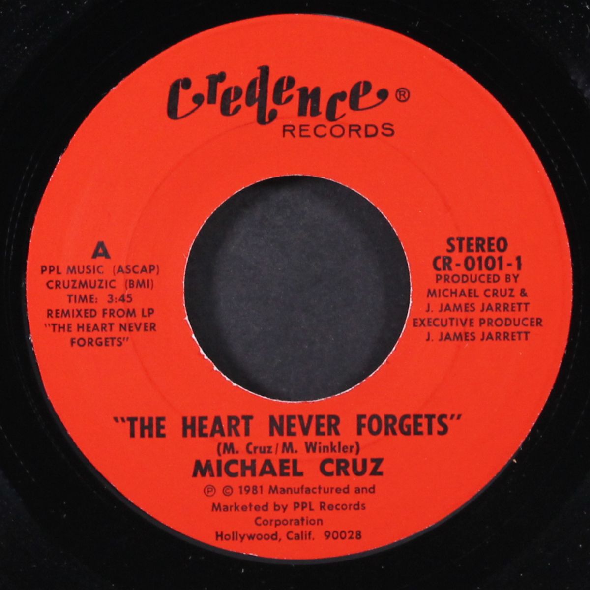 the heart never forgets / heart is broken every minute by MICHAEL CRUZ