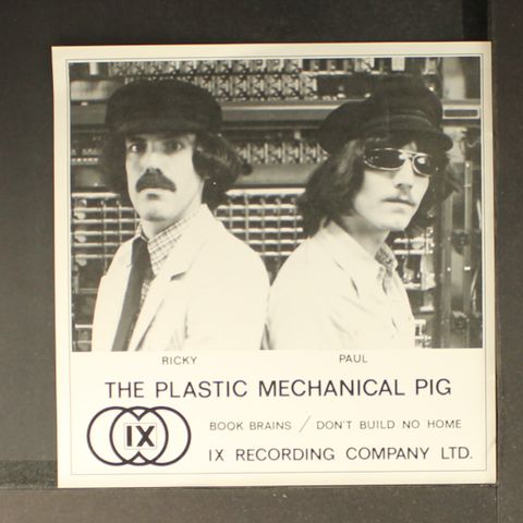 PLASTIC MECHANICAL PIG