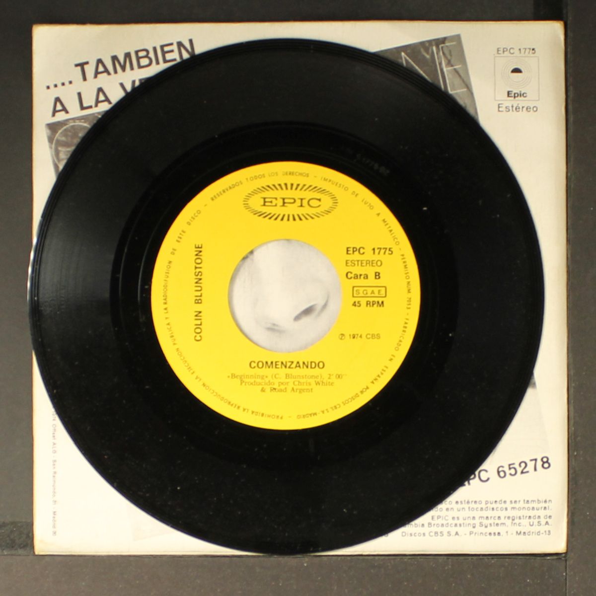 maravilloso by COLIN BLUNSTONE