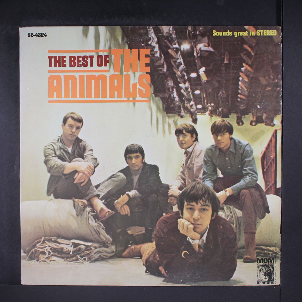 the best of the animals by ANIMALS