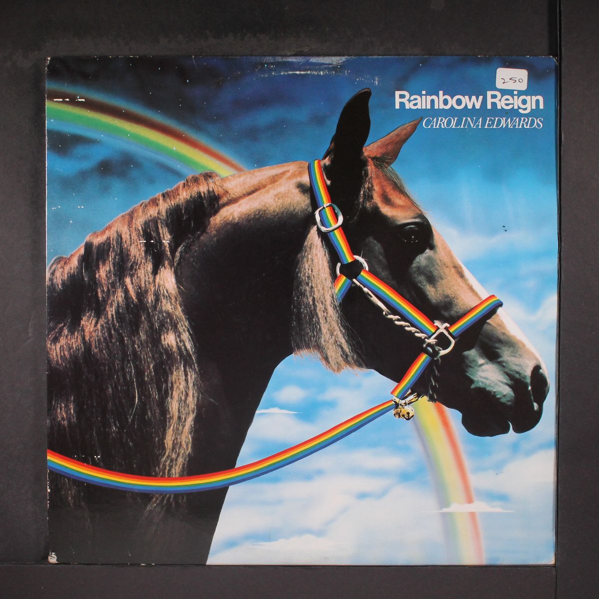 rainbow reign by CAROLINA EDWARDS