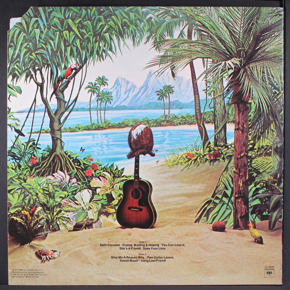 split coconut by DAVE MASON
