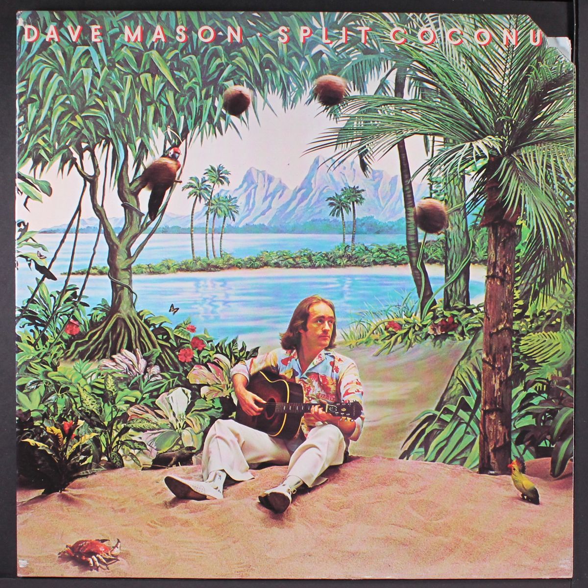 split coconut by DAVE MASON
