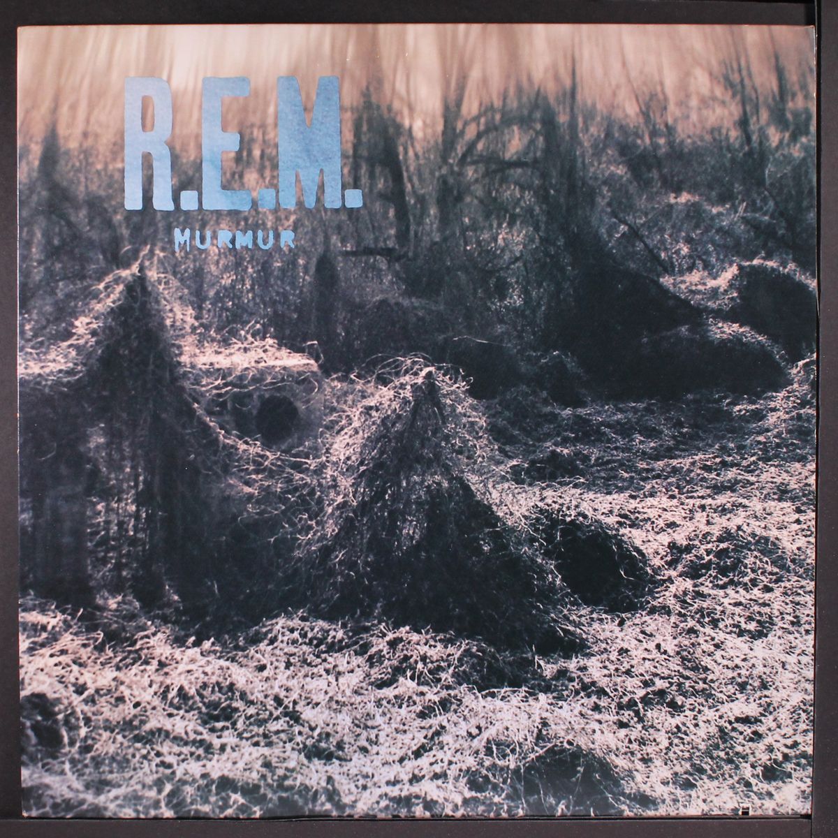 murmur by R.E.M.