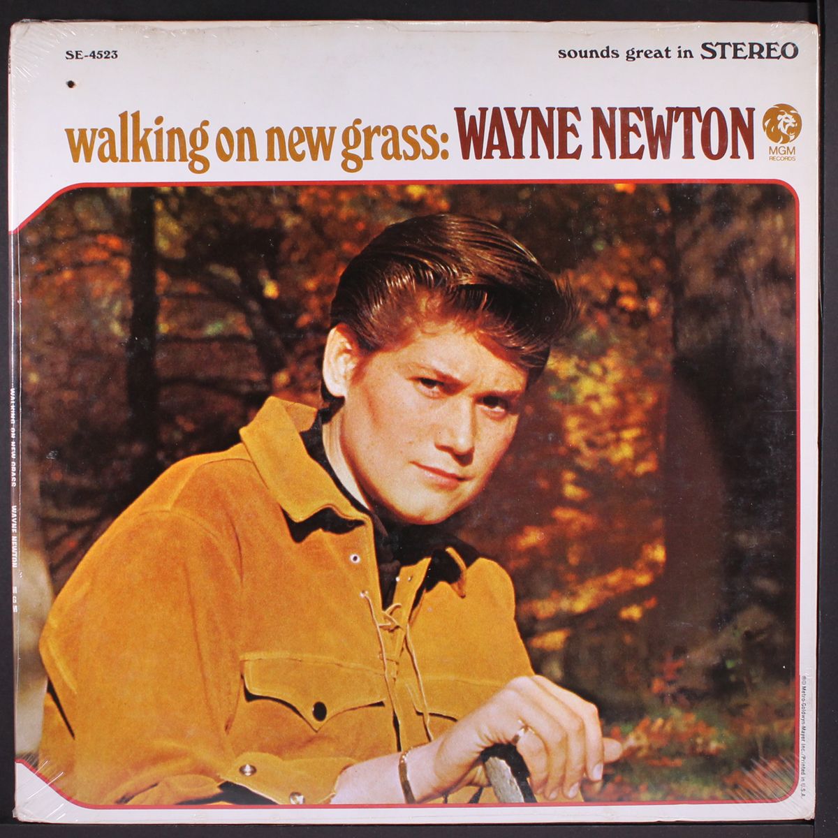 walking on new grass by WAYNE NEWTON