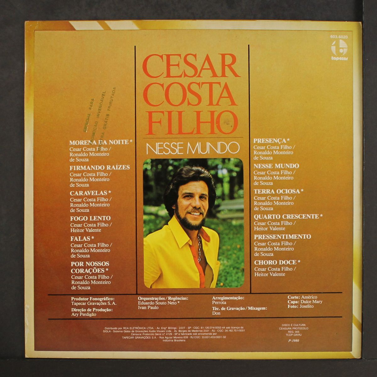 nesse mundo by CESAR COSTA FILHO
