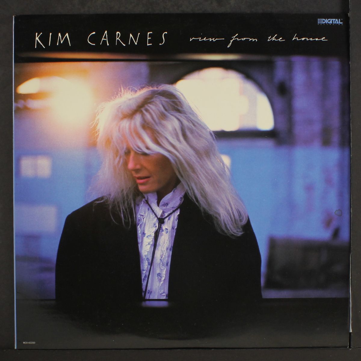 view from the house by KIM CARNES