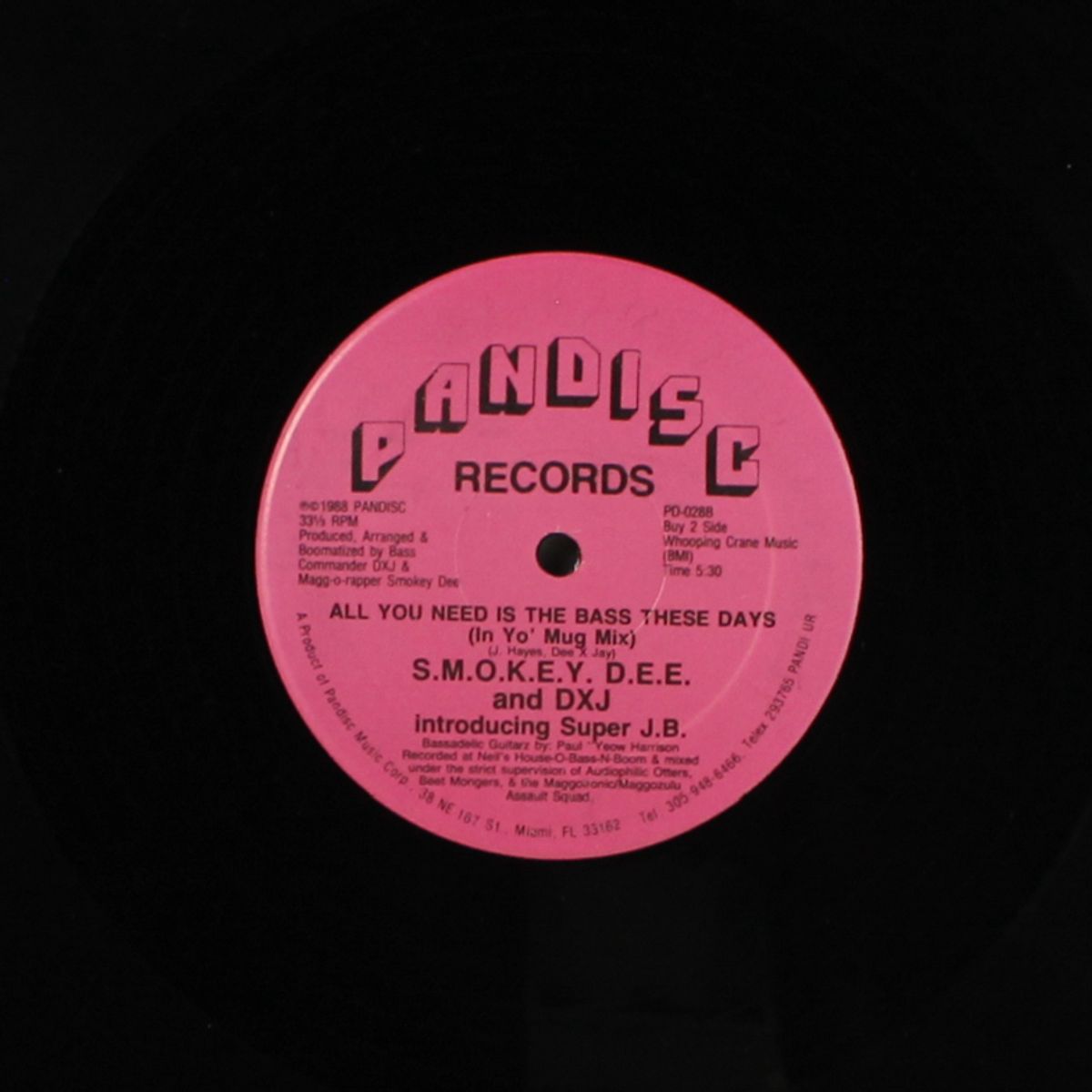 all you need is the bass these days by SMOKEY DEE & DXJ