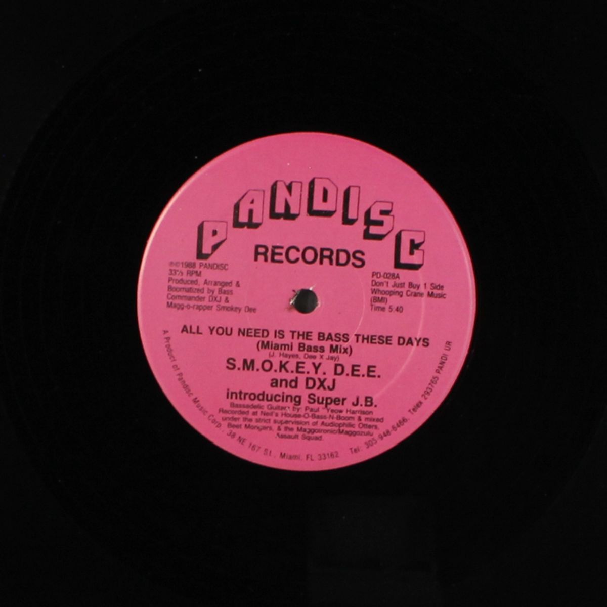 all you need is the bass these days by SMOKEY DEE & DXJ