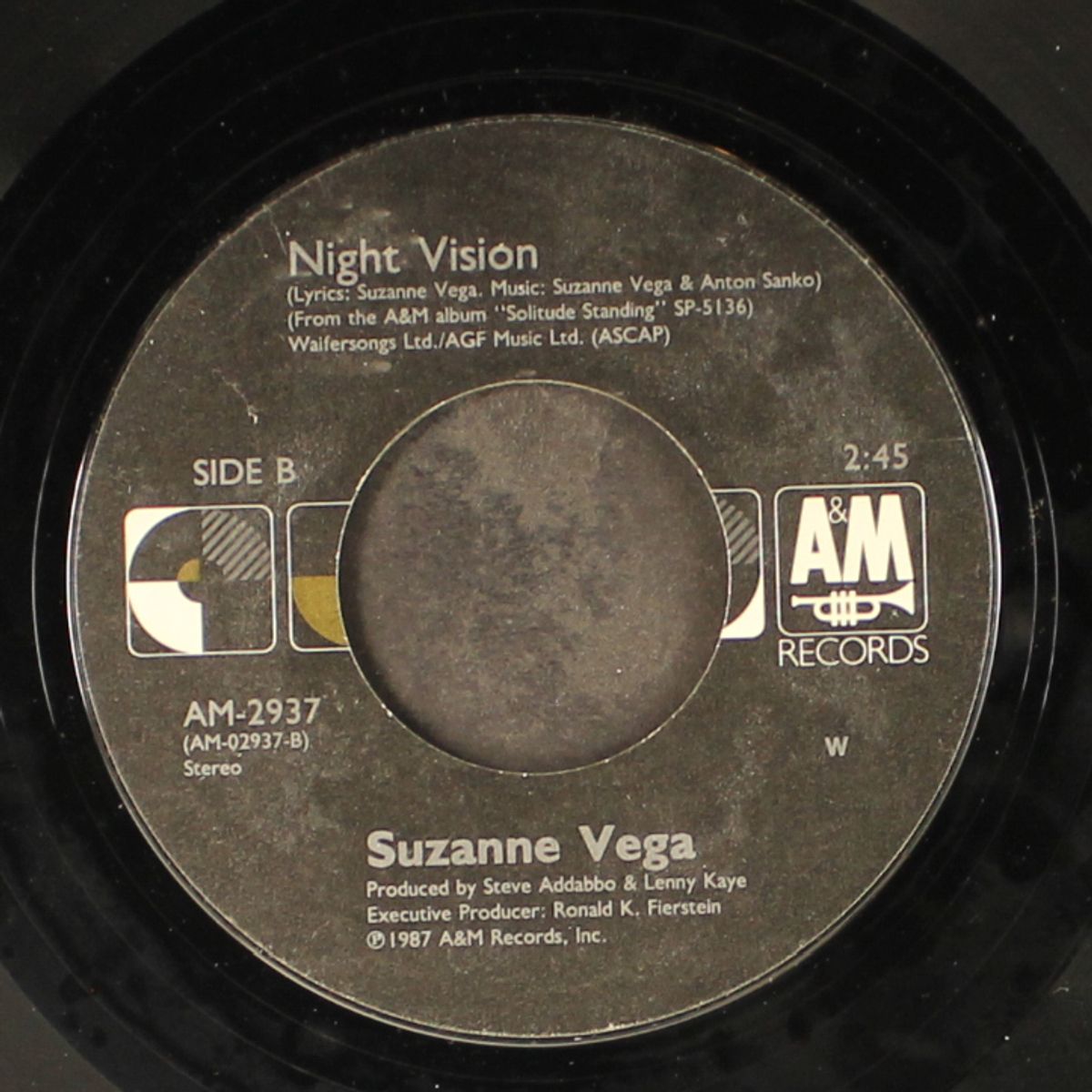 luka / night vision by SUZANNE VEGA